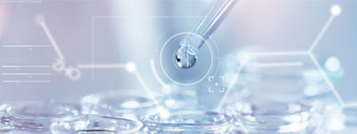 研發(fā)平臺(tái)